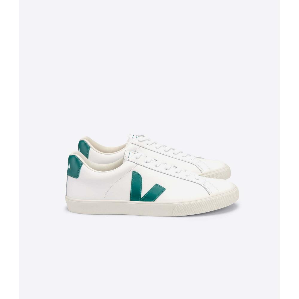 Veja ESPLAR LEATHER Women\'s Sneakers White/Green | NZ 619KOR